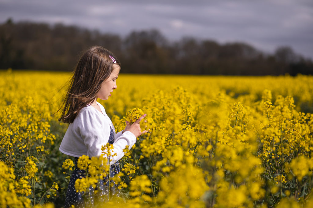 Young girl looking a yellow flower in field in Redhill.
